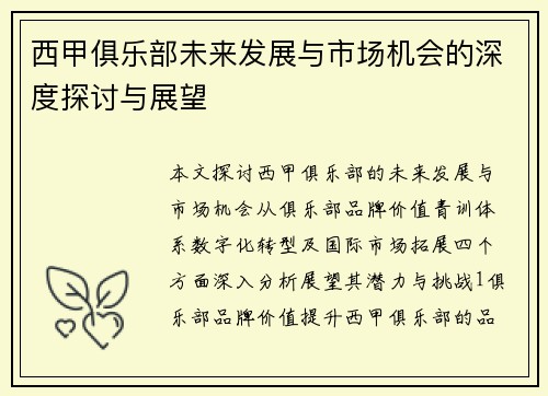 西甲俱乐部未来发展与市场机会的深度探讨与展望