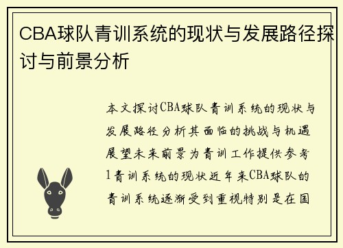 CBA球队青训系统的现状与发展路径探讨与前景分析